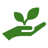 Eco-friendly offerings 