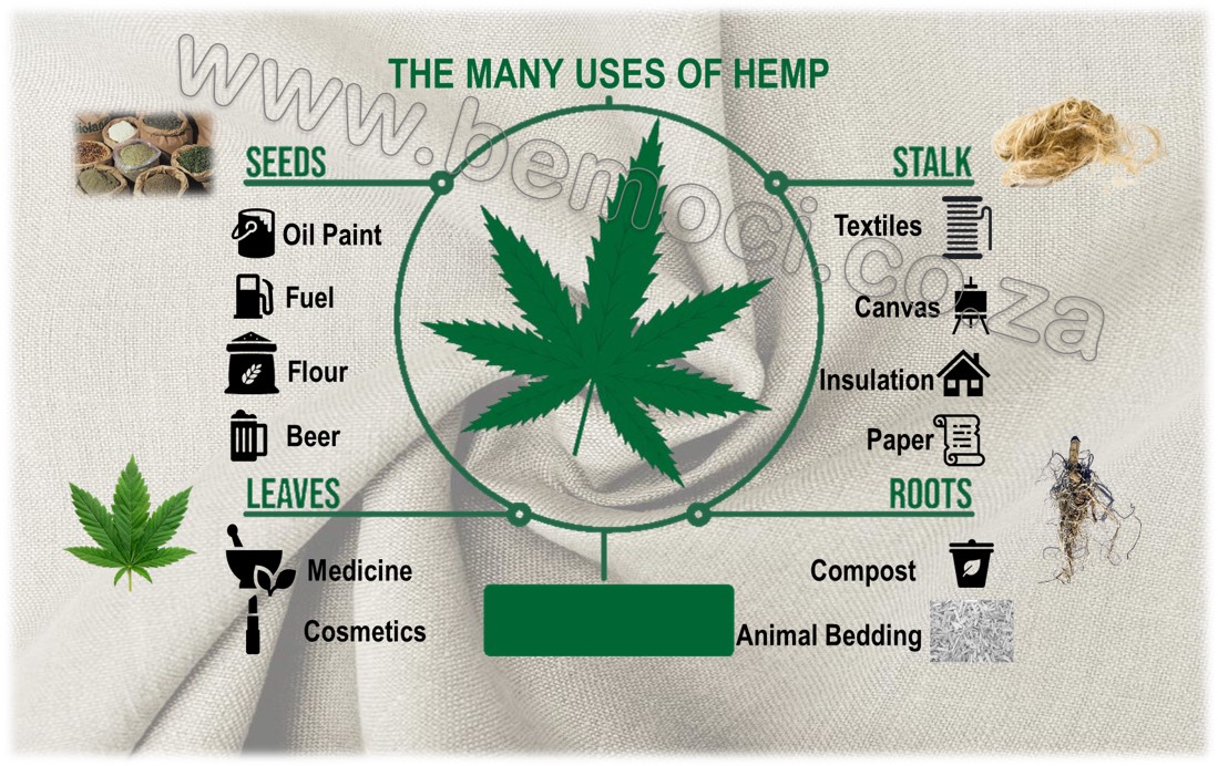 Hemp Uses