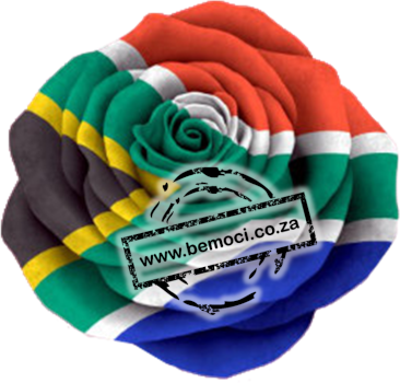 uth African Flag Rose