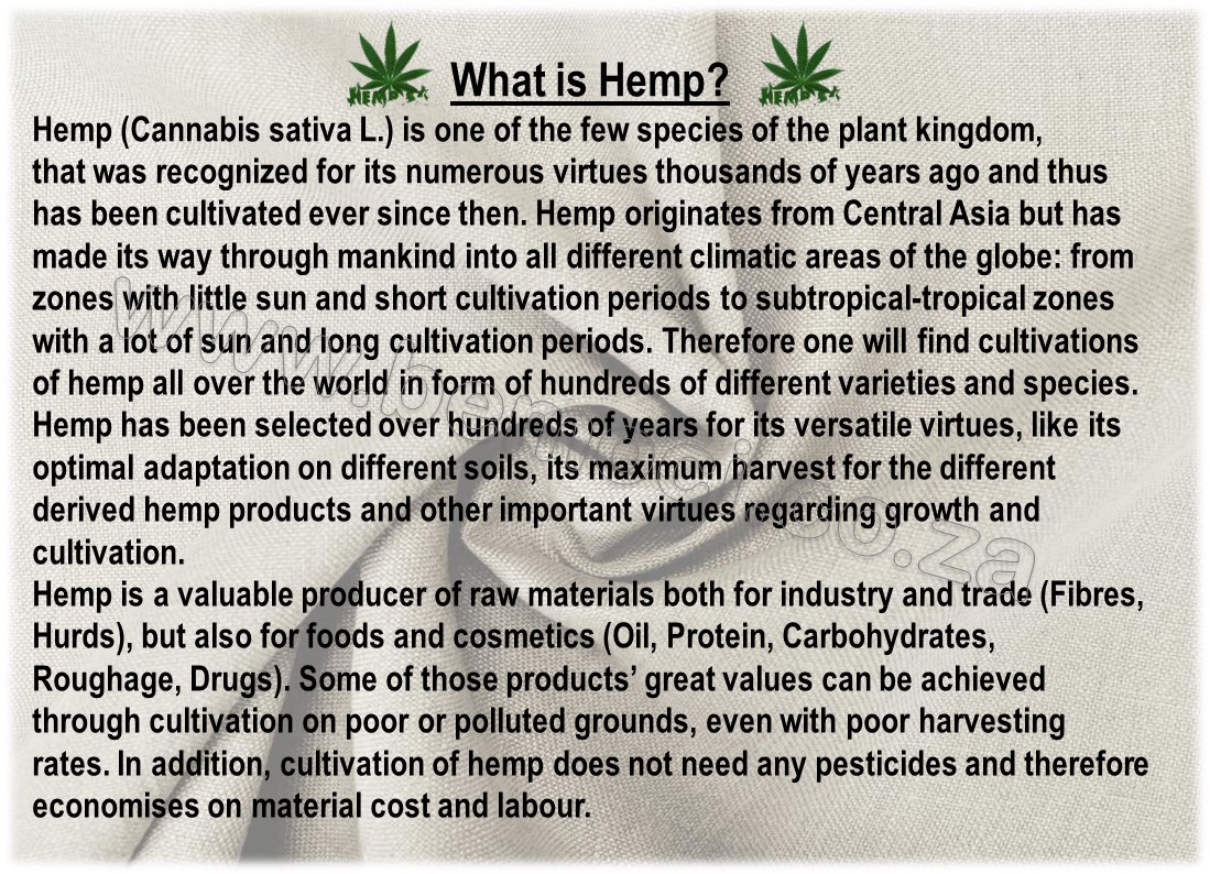 What is Hemp.